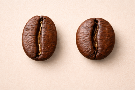 Arabica vs Robusta: What’s the Real Difference?